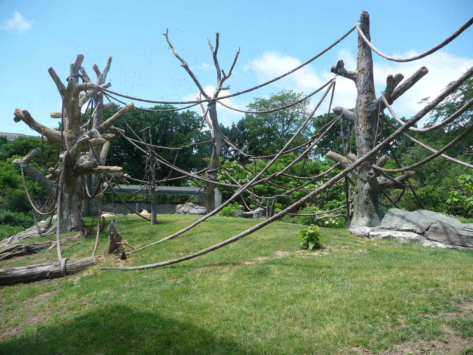 Regenstein Center for African Apes - Lincoln Park Zoo