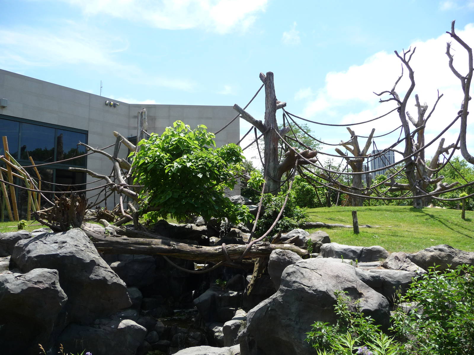 Regenstein Center for African Apes - Lincoln Park Zoo