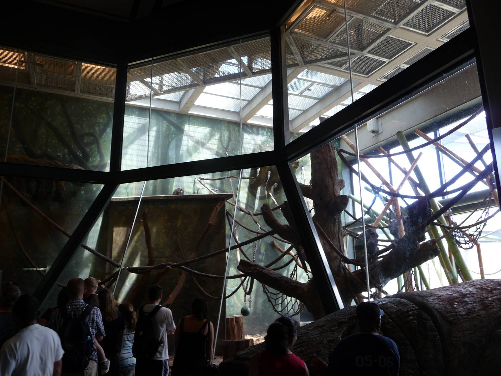 Regenstein Center for African Apes - Lincoln Park Zoo