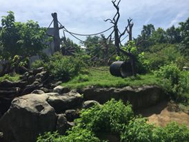 Regenstein Center for African Apes