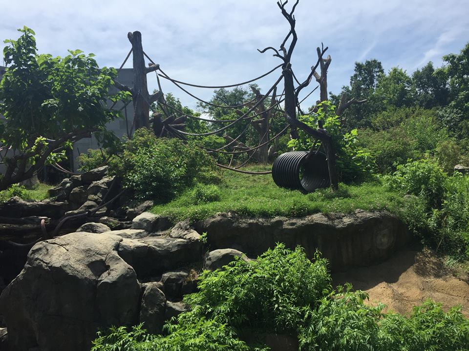 Regenstein Center for African Apes