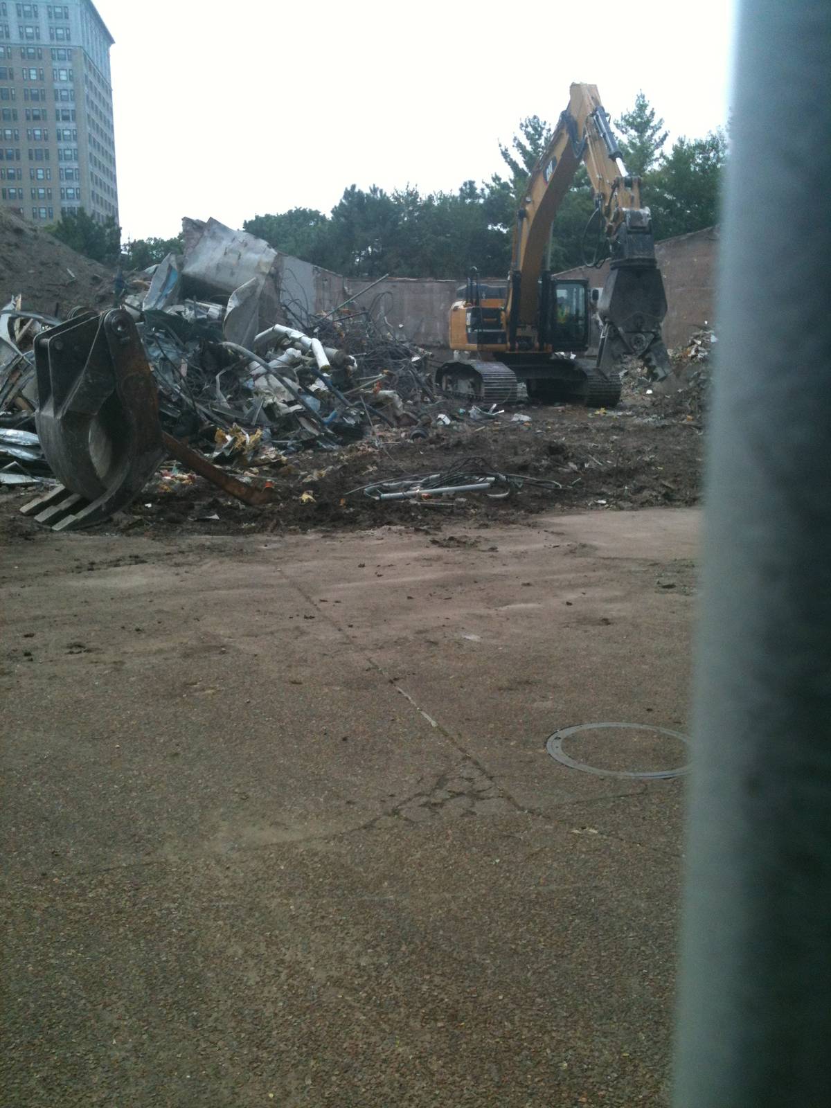 Regenstein Macaque Forest-Construction