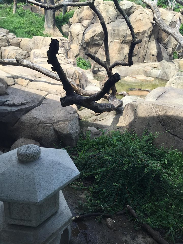 Regenstein Macaque Forest