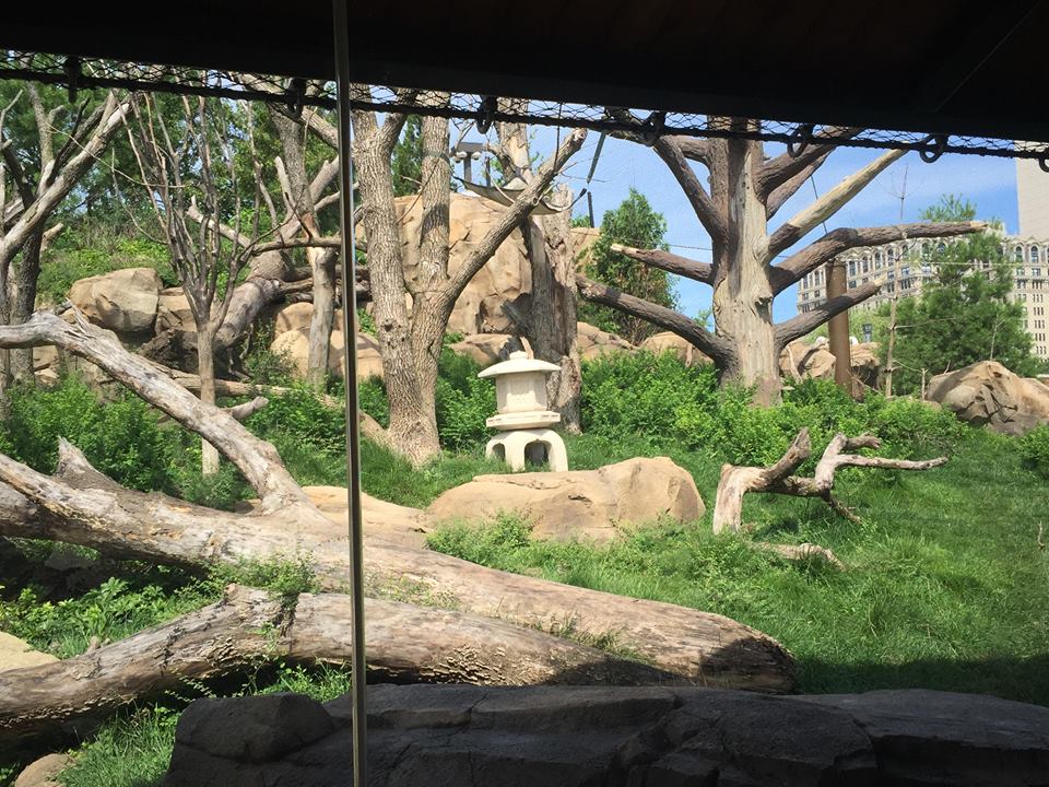 Regenstein Macaque Forest