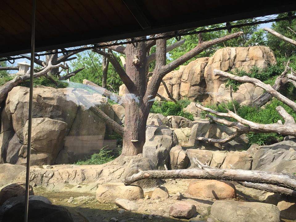 Regenstein Macaque Forest