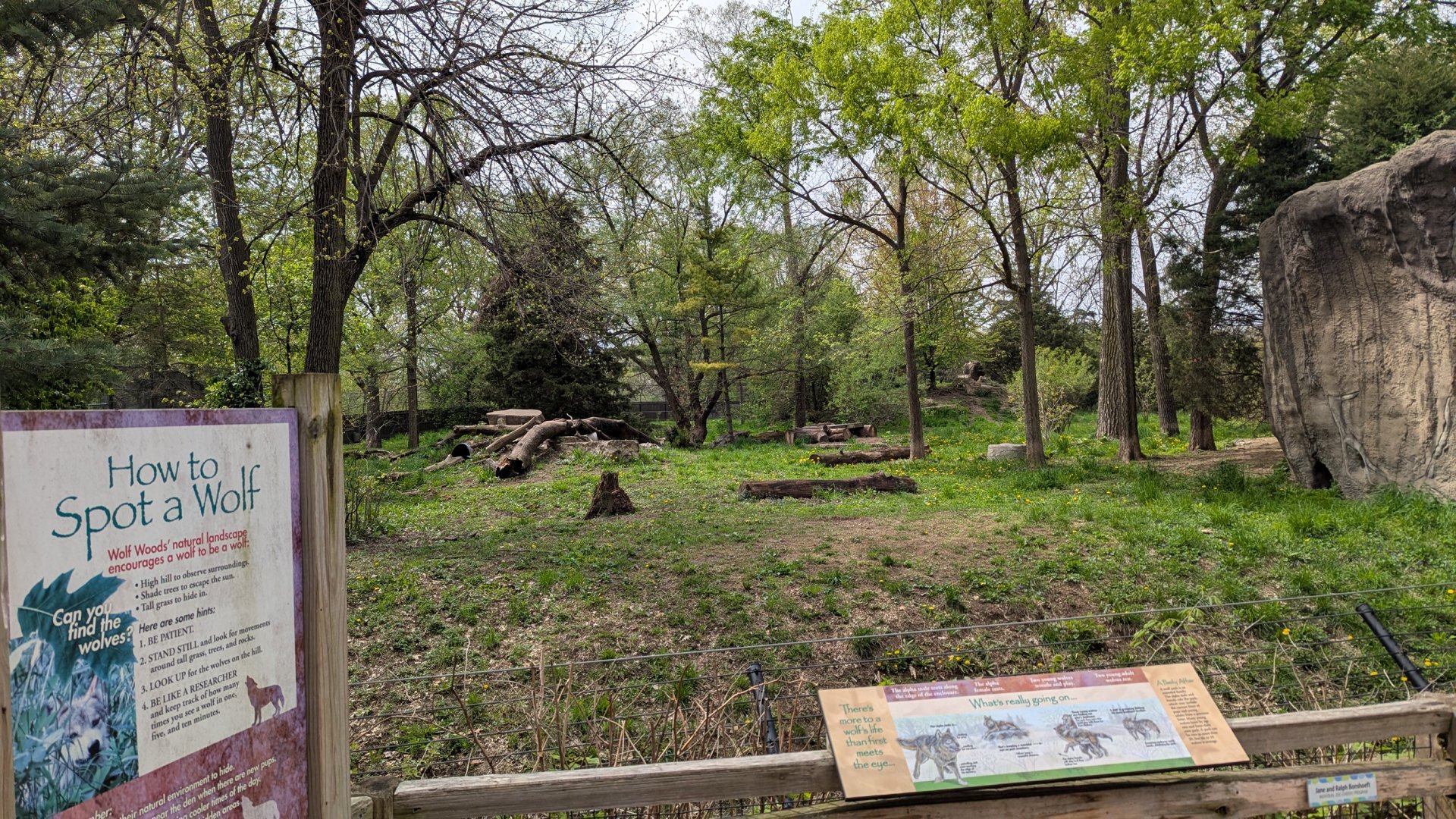 Regenstein Wolf Woods, outdoor viewing