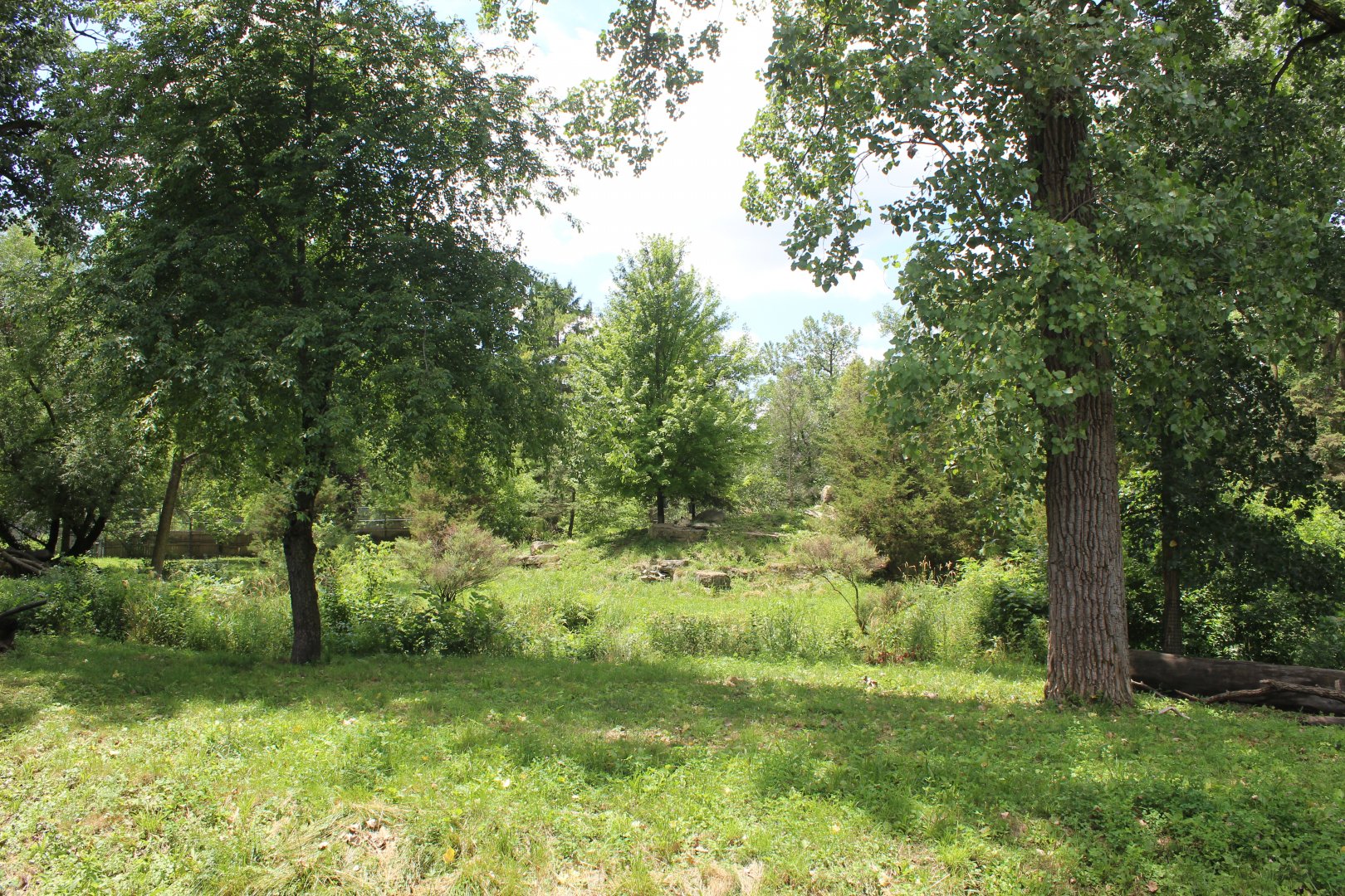 Regenstein Wolf Woods