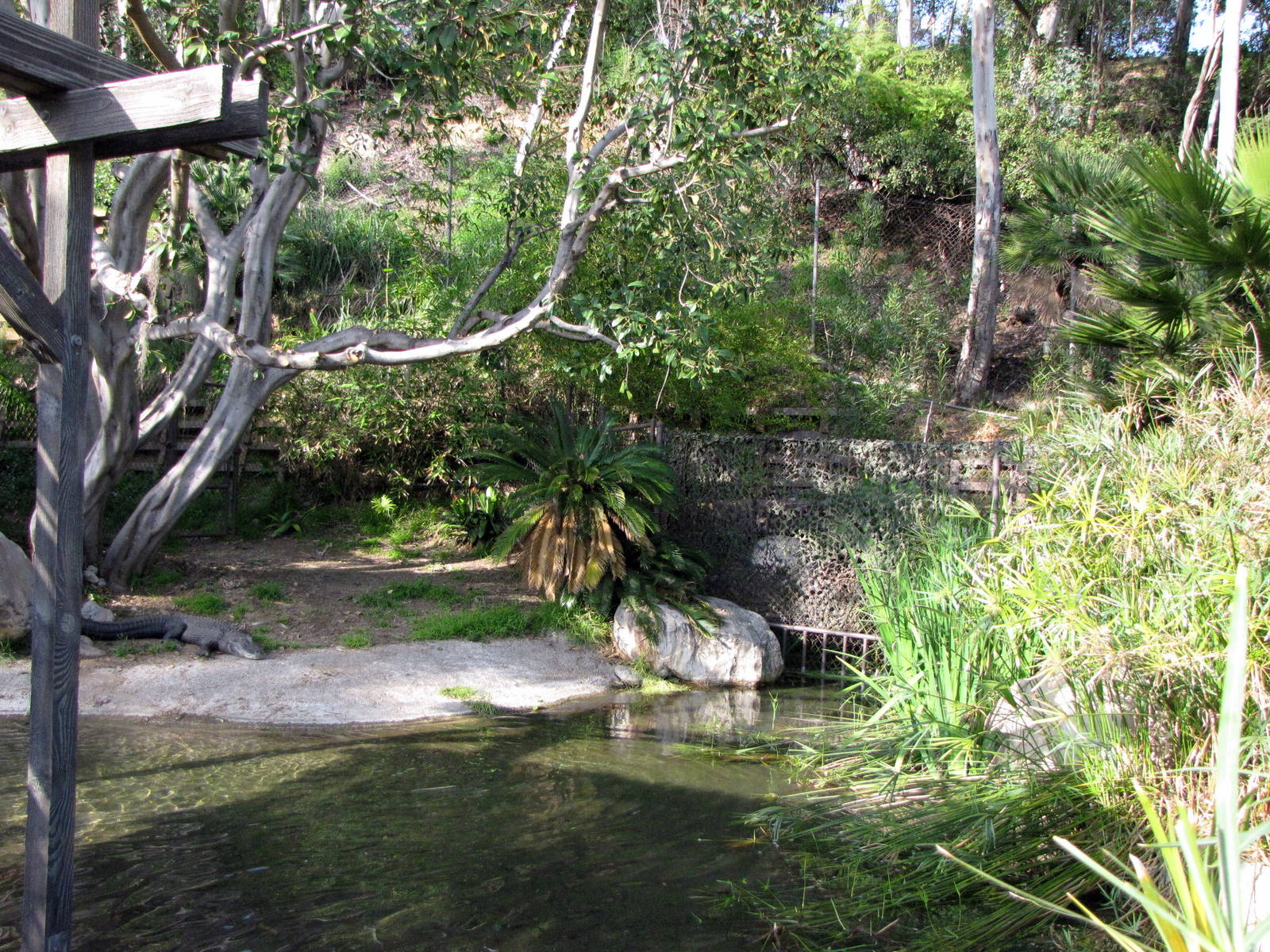 Reggies Private Domain