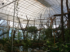 Régi majomház - Old monkey house