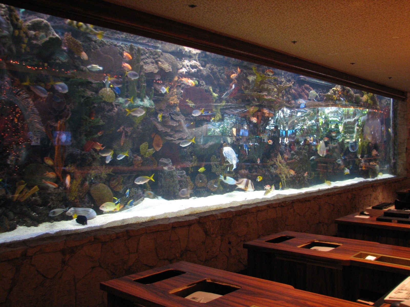 Registration Desk Aquarium at Mirage Hotel Casino in Las Vegas