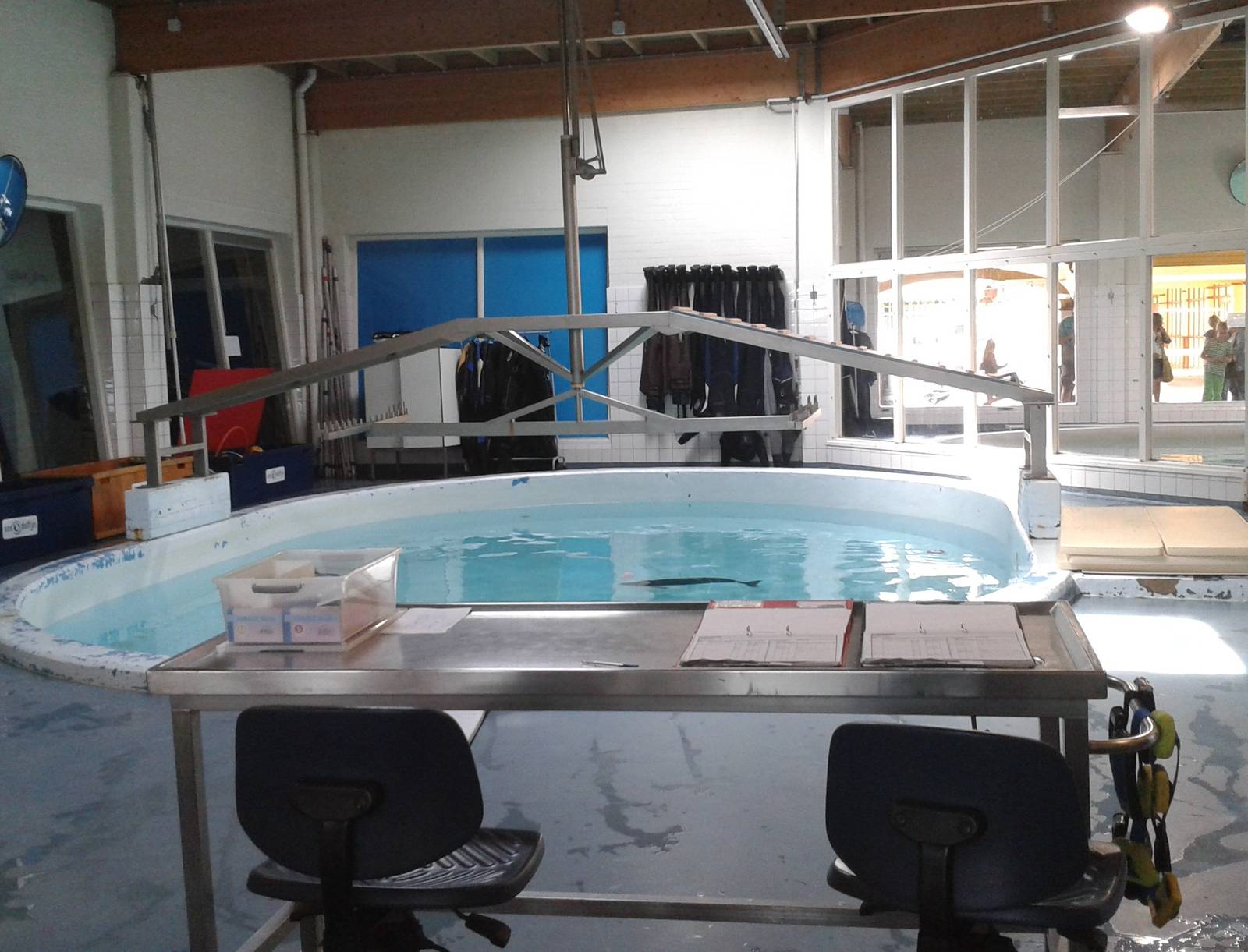 rehab-enclosure porpoise