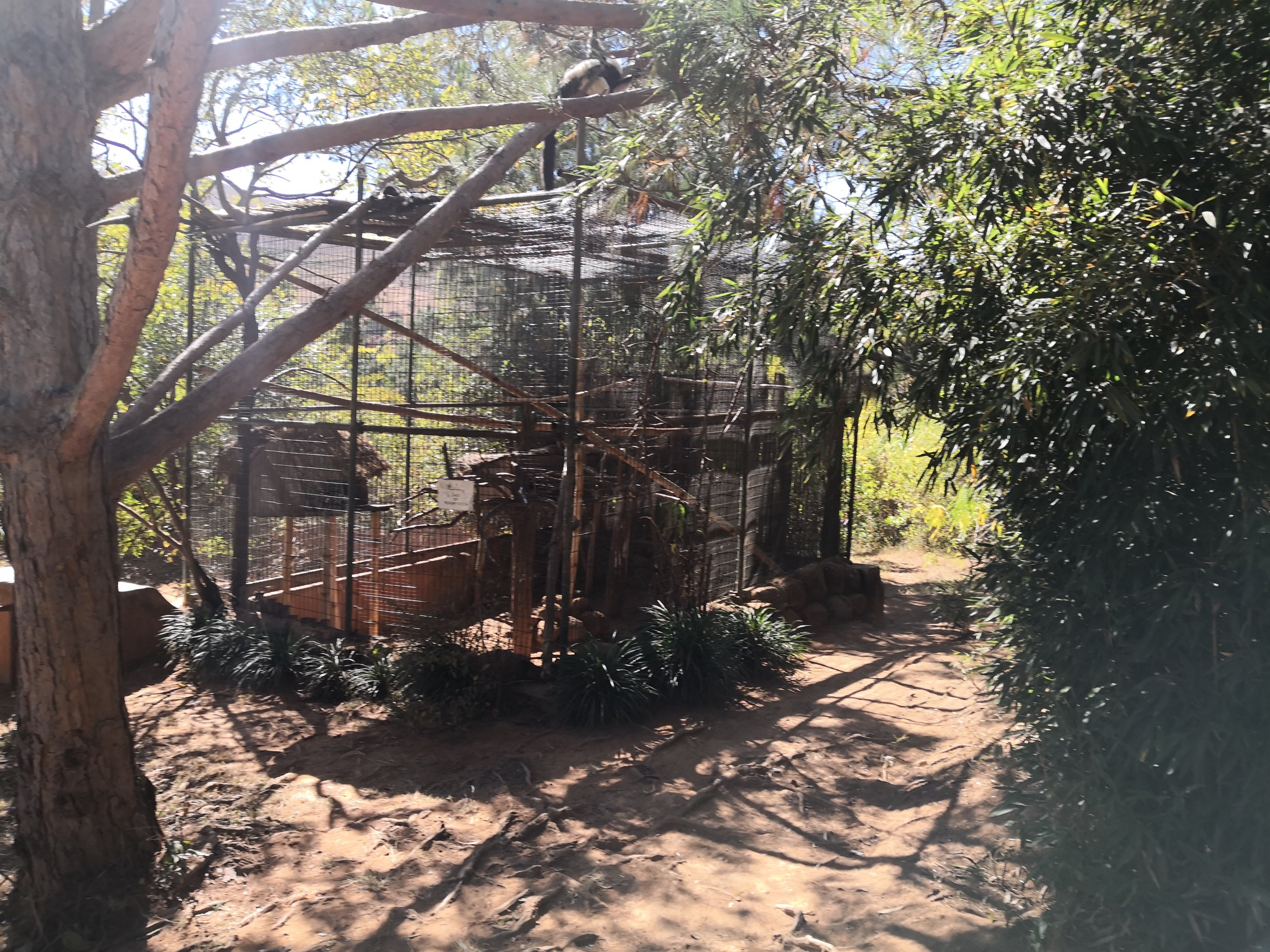 Rehab/Quarantine pen