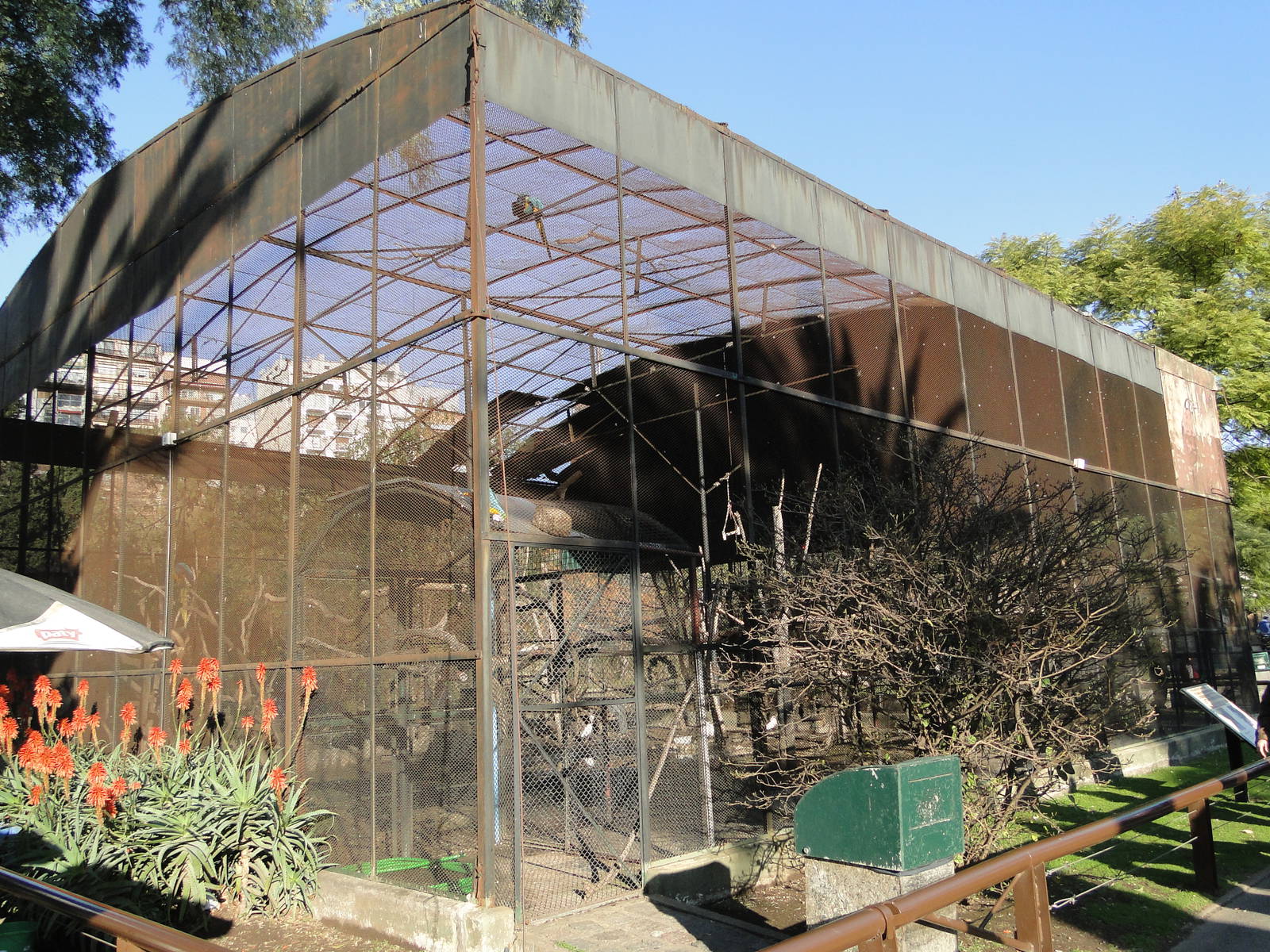 Rehabilitated birds cage