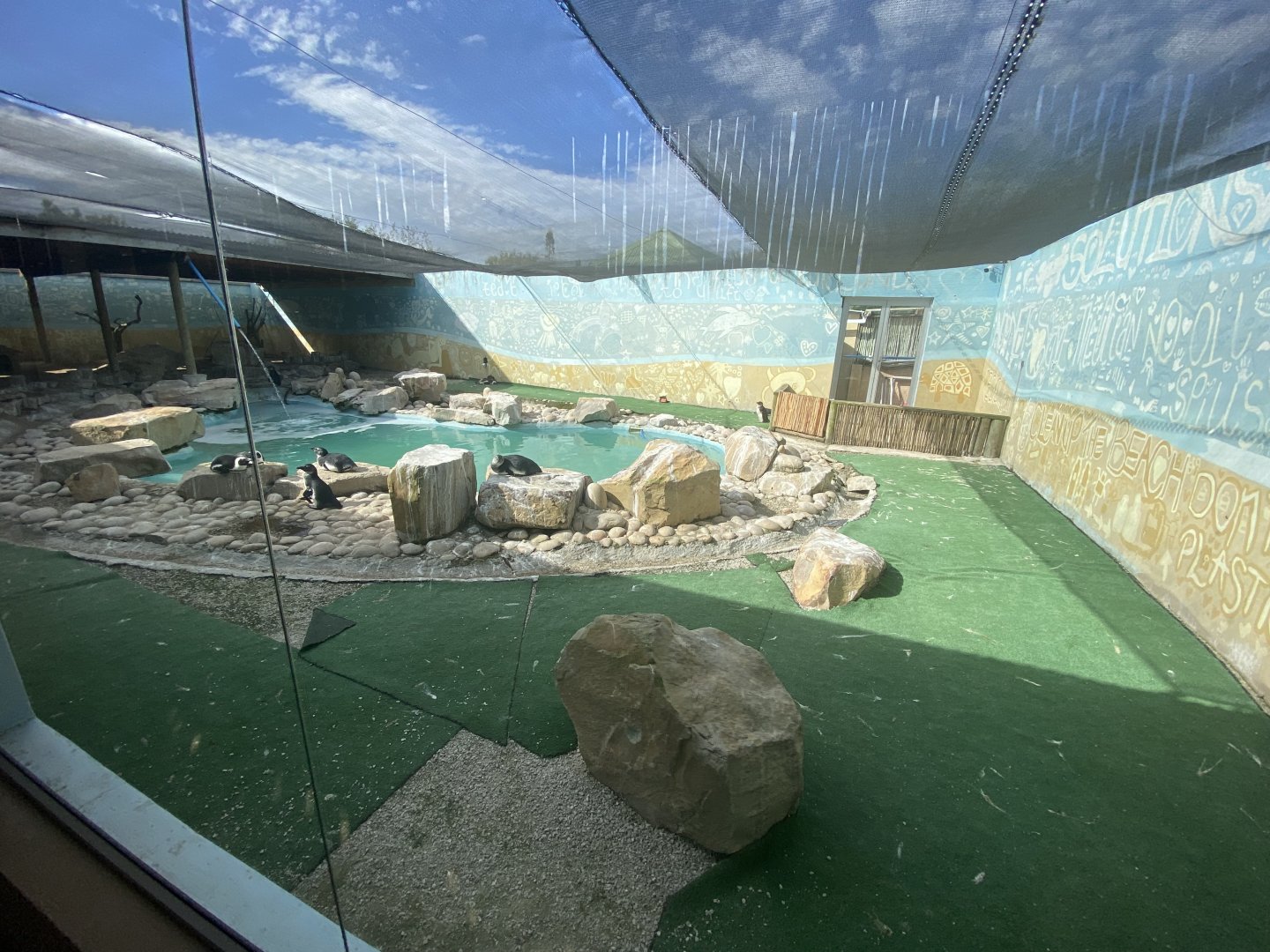 Rehabilitation enclosure for African penguins