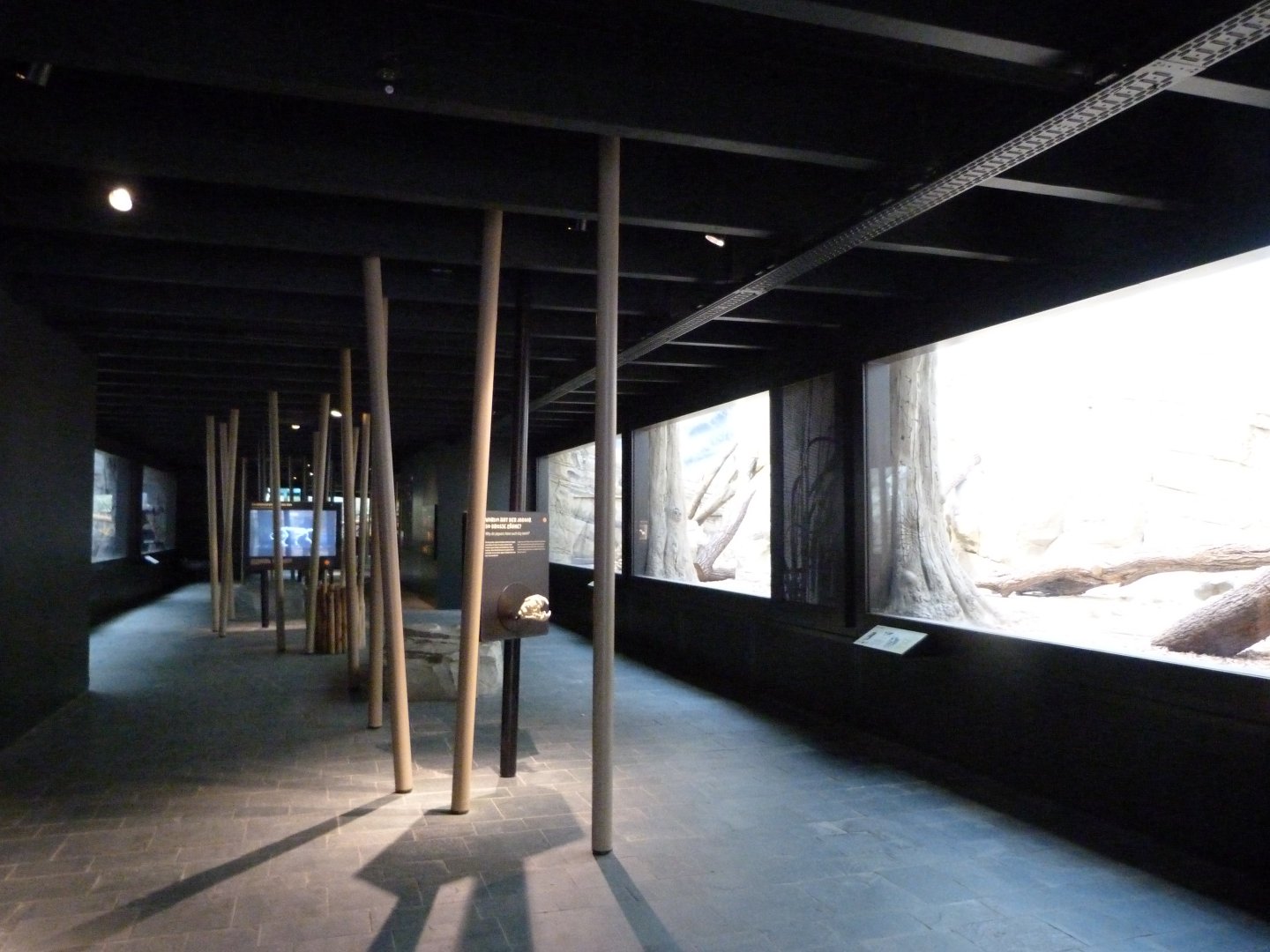 "Reich der Jäger" view -Zoologischer Garten Berlin (2024)