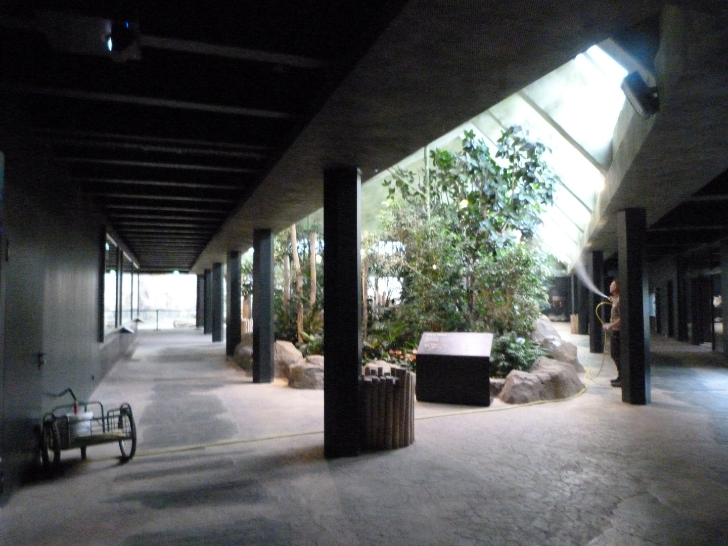 "Reich der Jäger" view -Zoologischer Garten Berlin (2024)