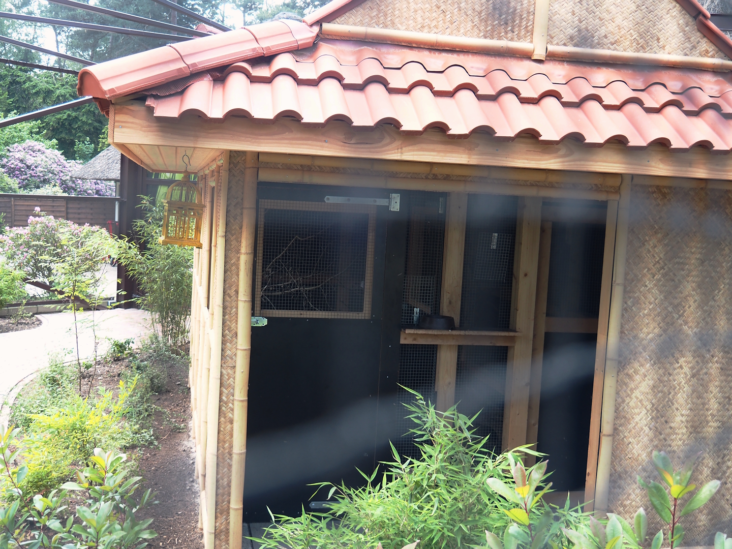 Reich der Mitte aviary bird house, 2024-05-23
