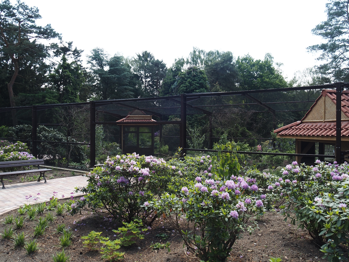 Reich der Mitte aviary - Chinese aviary near entrance and gift shop, 2024-05-21