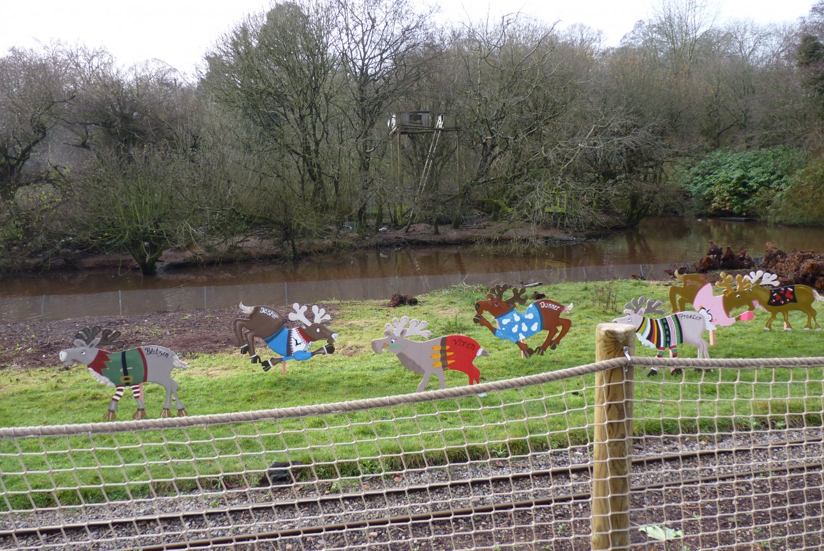 Reindeer abuse? December 2016