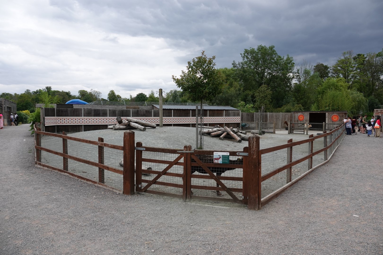 Reindeer and alpaca enclosure