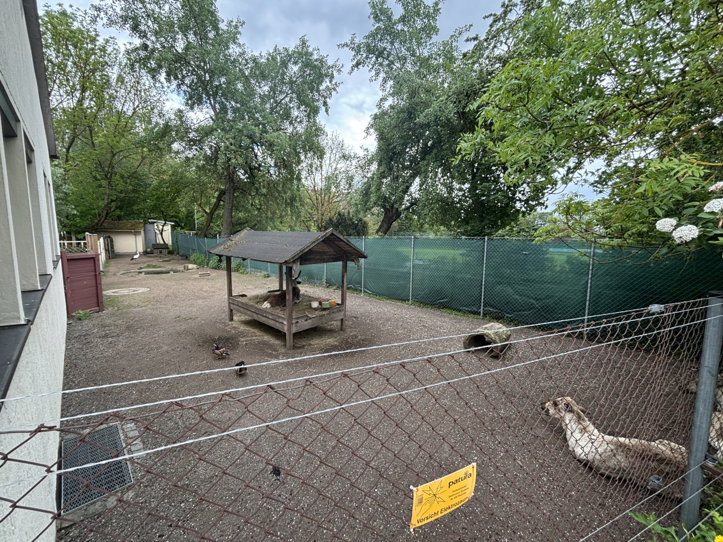 Reindeer And Stork Enclosure at Zoologischer Garten Hof