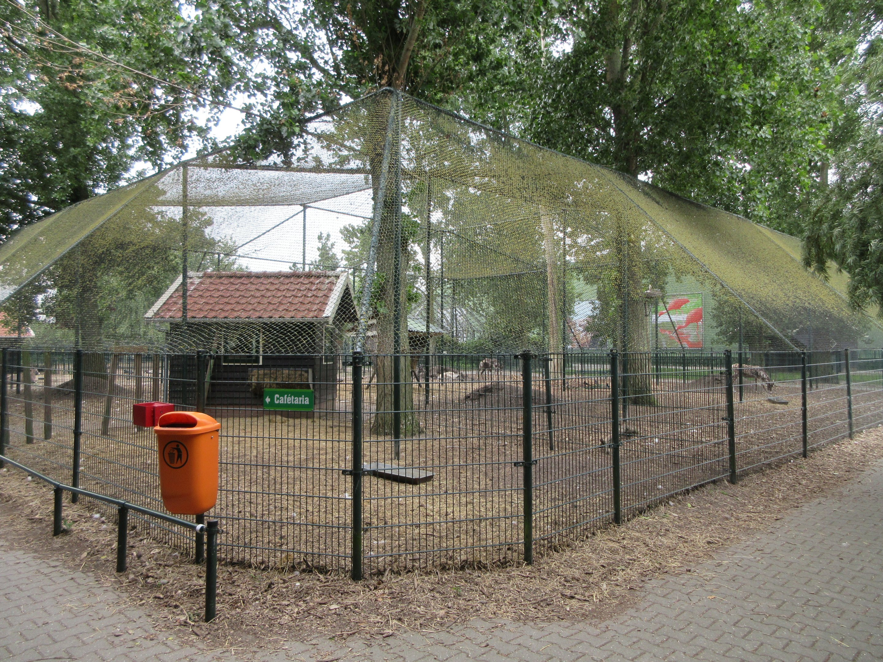 Reindeer Aviary