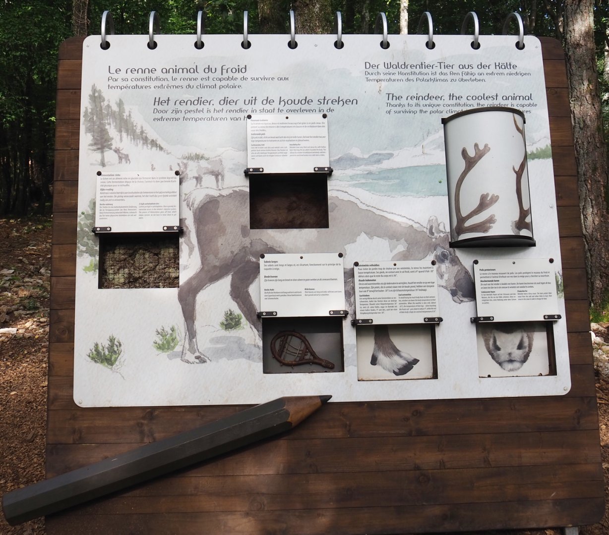 Reindeer biology signage, 2021-08-15