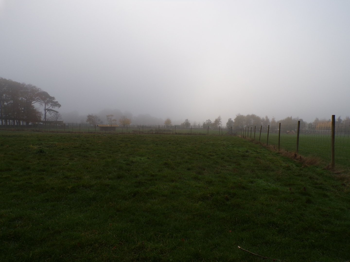 Reindeer enclosure (2)