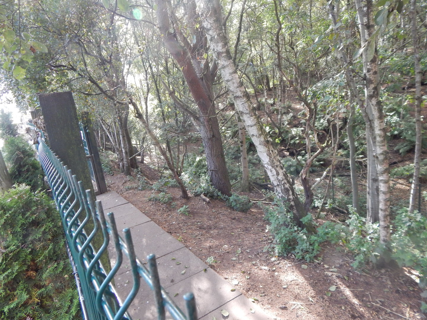 Reindeer enclosure 200922