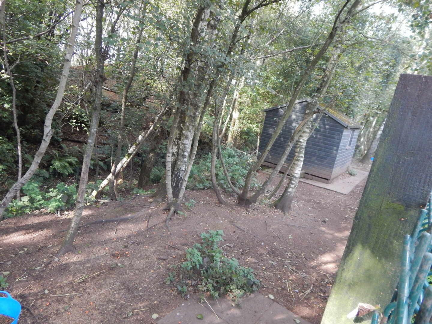 Reindeer enclosure 200922