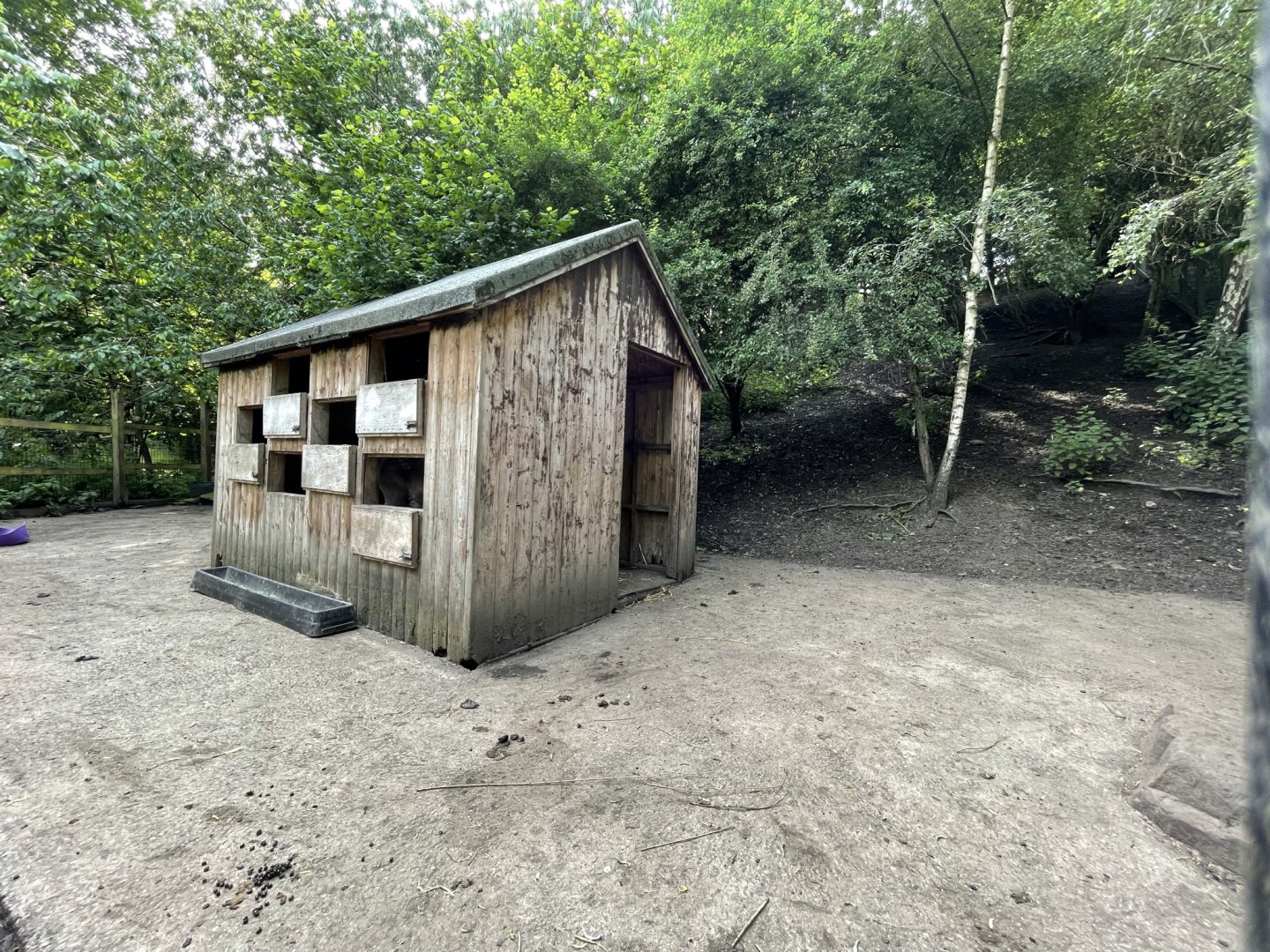 Reindeer Enclosure at Ponderosa Zoo (July 2021)