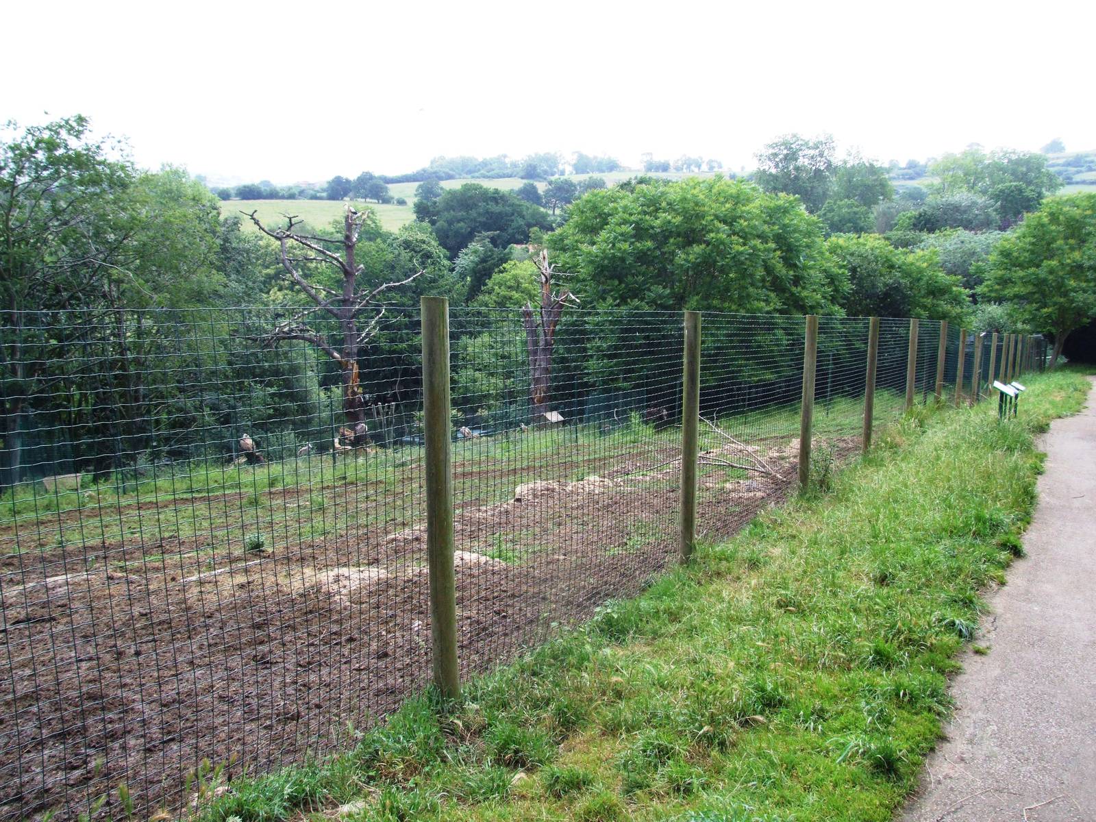 Reindeer Enclosure at Santillana del Mar, 13/06/15