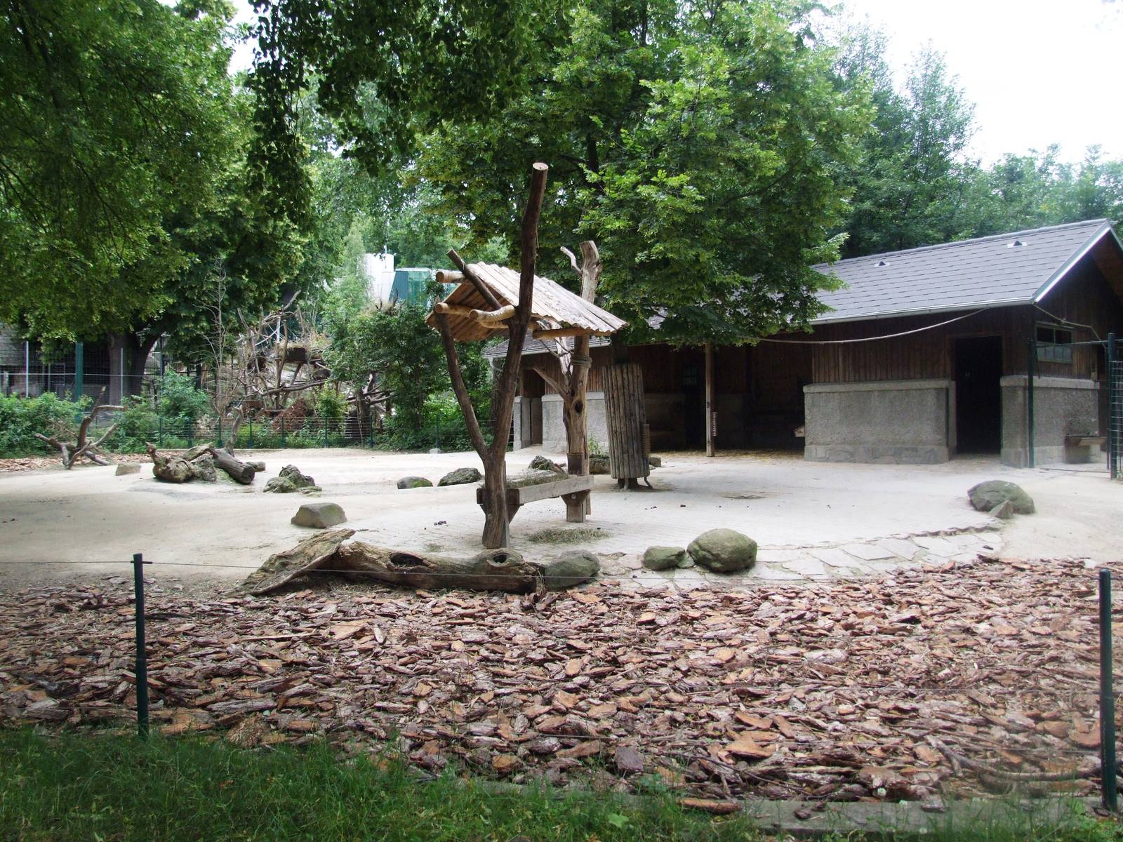 Reindeer Enclosure at Vienna, 14/06/13
