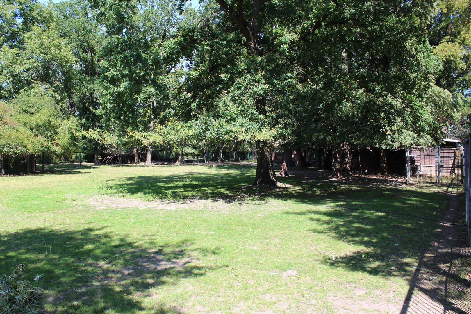 Reindeer Enclosure - July 2019