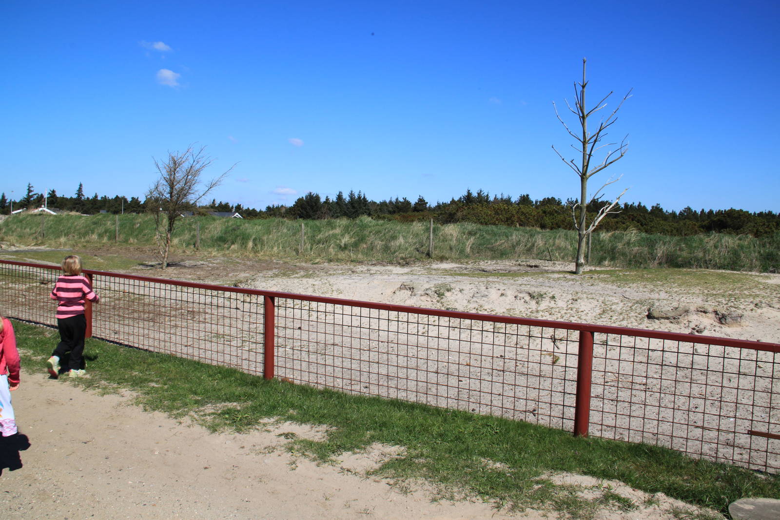 Reindeer Enclosure