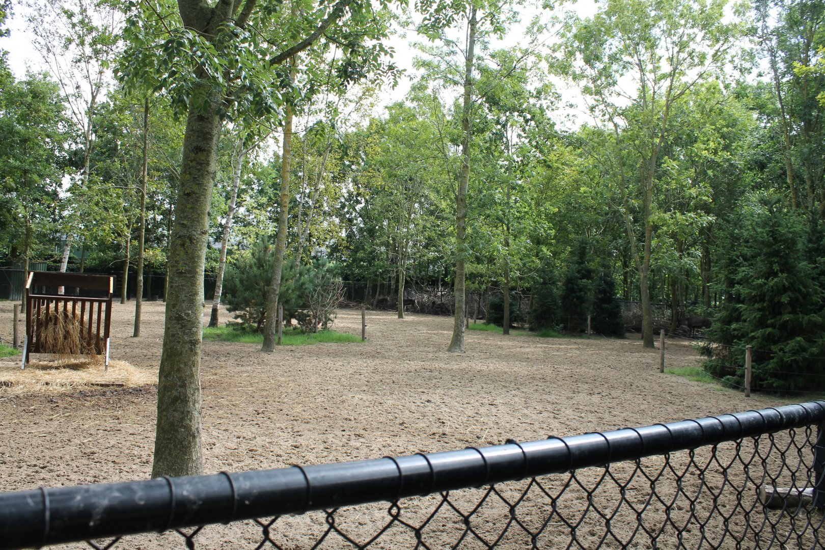 Reindeer-enclosure