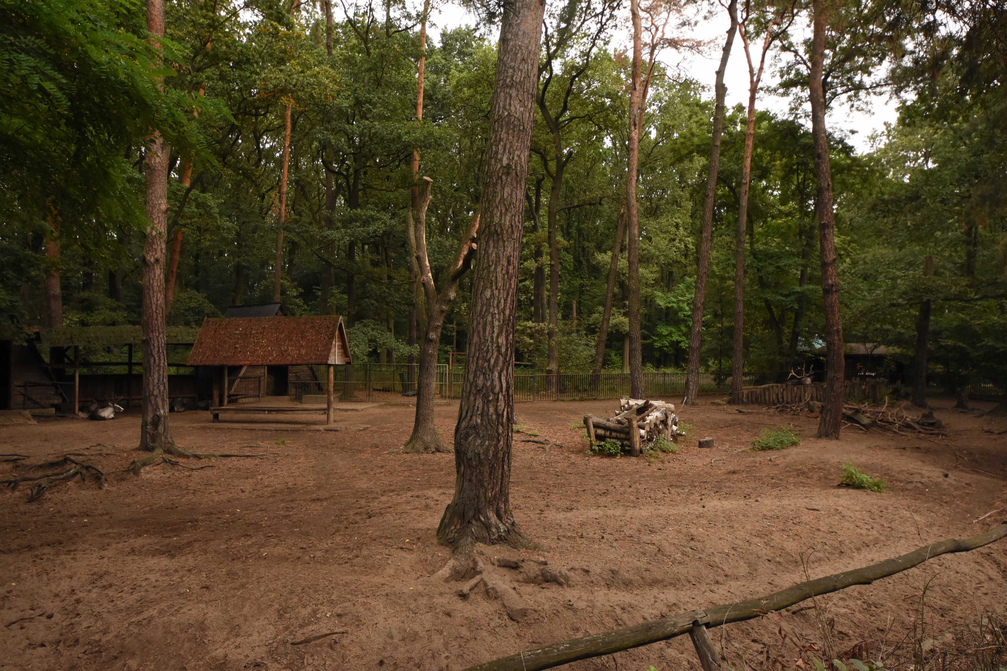 Reindeer enclosure
