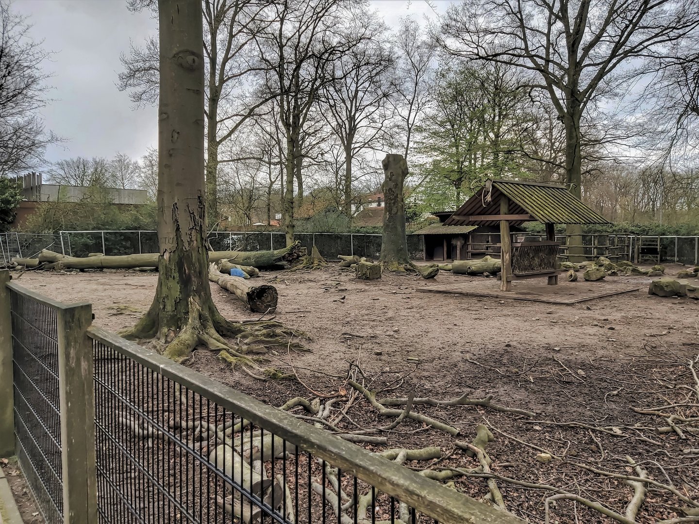 Reindeer enclosure