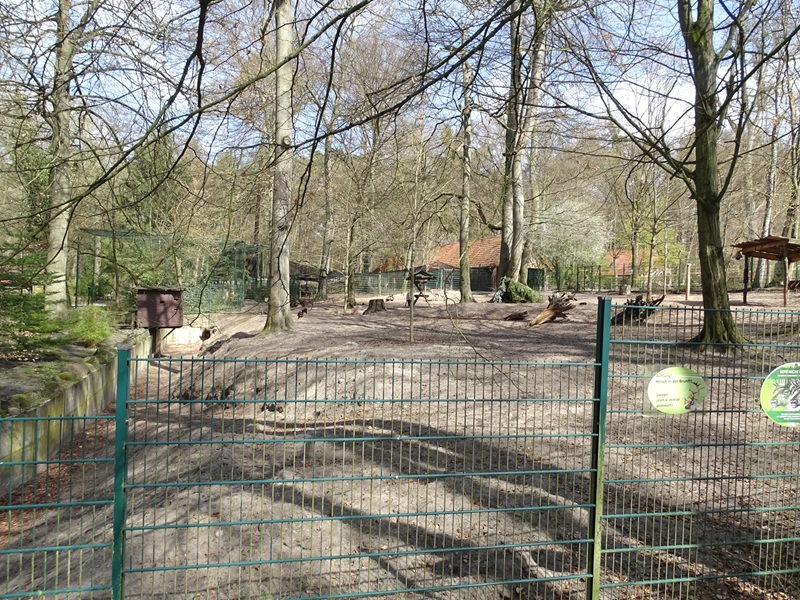 Reindeer enclosure