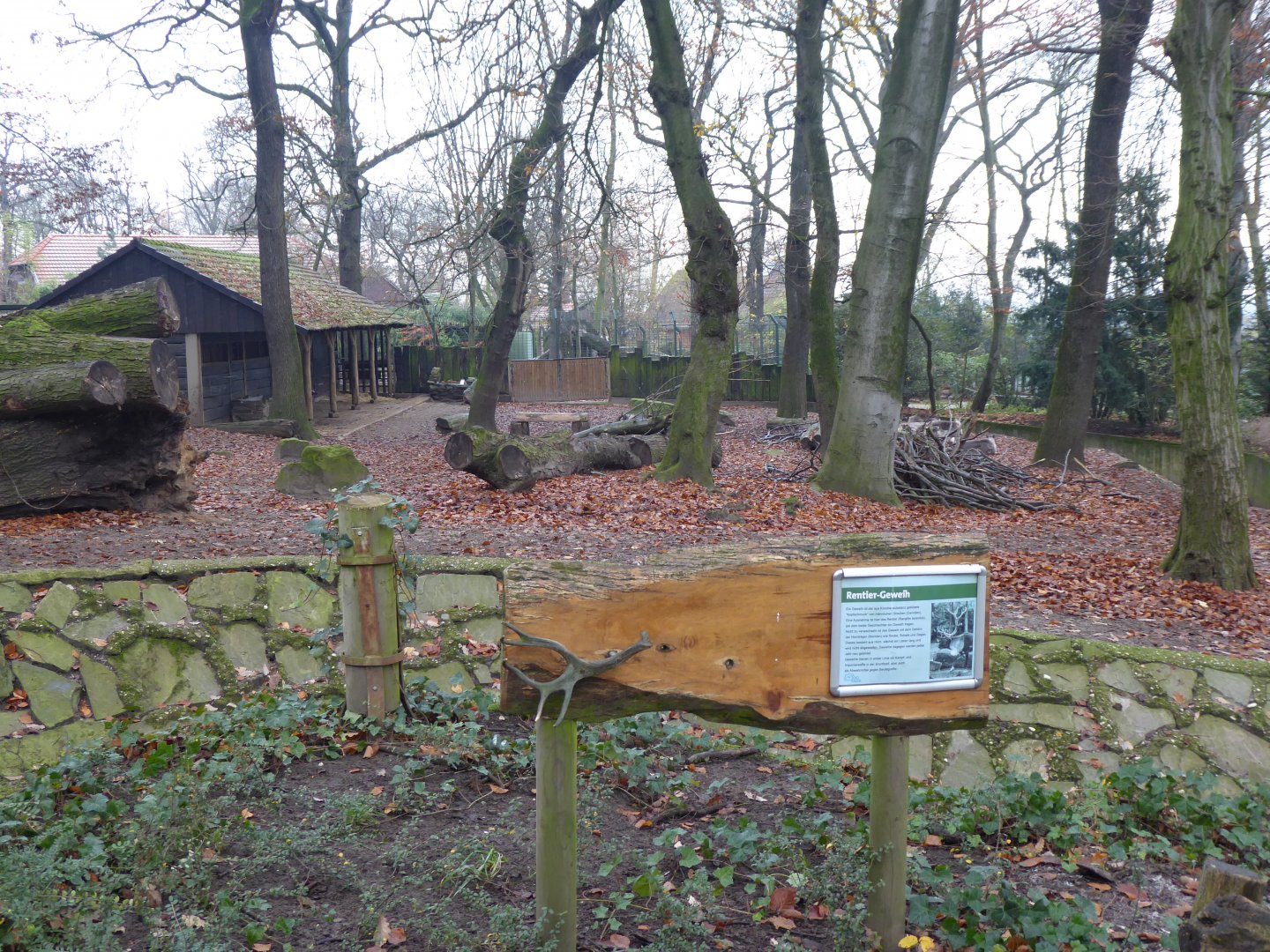 Reindeer exhibit 011219