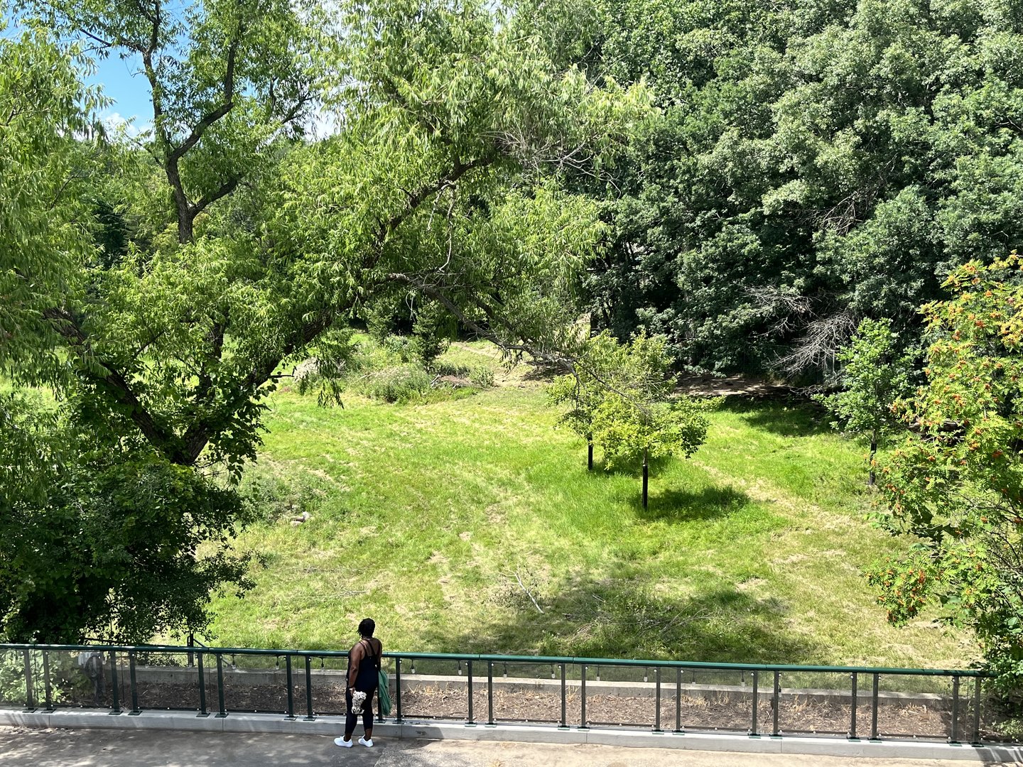 Reindeer Exhibit from the Treetop Trail