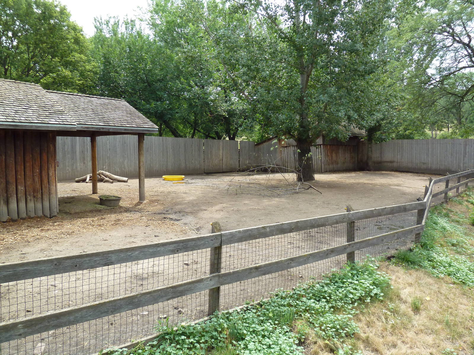 Reindeer Exhibit