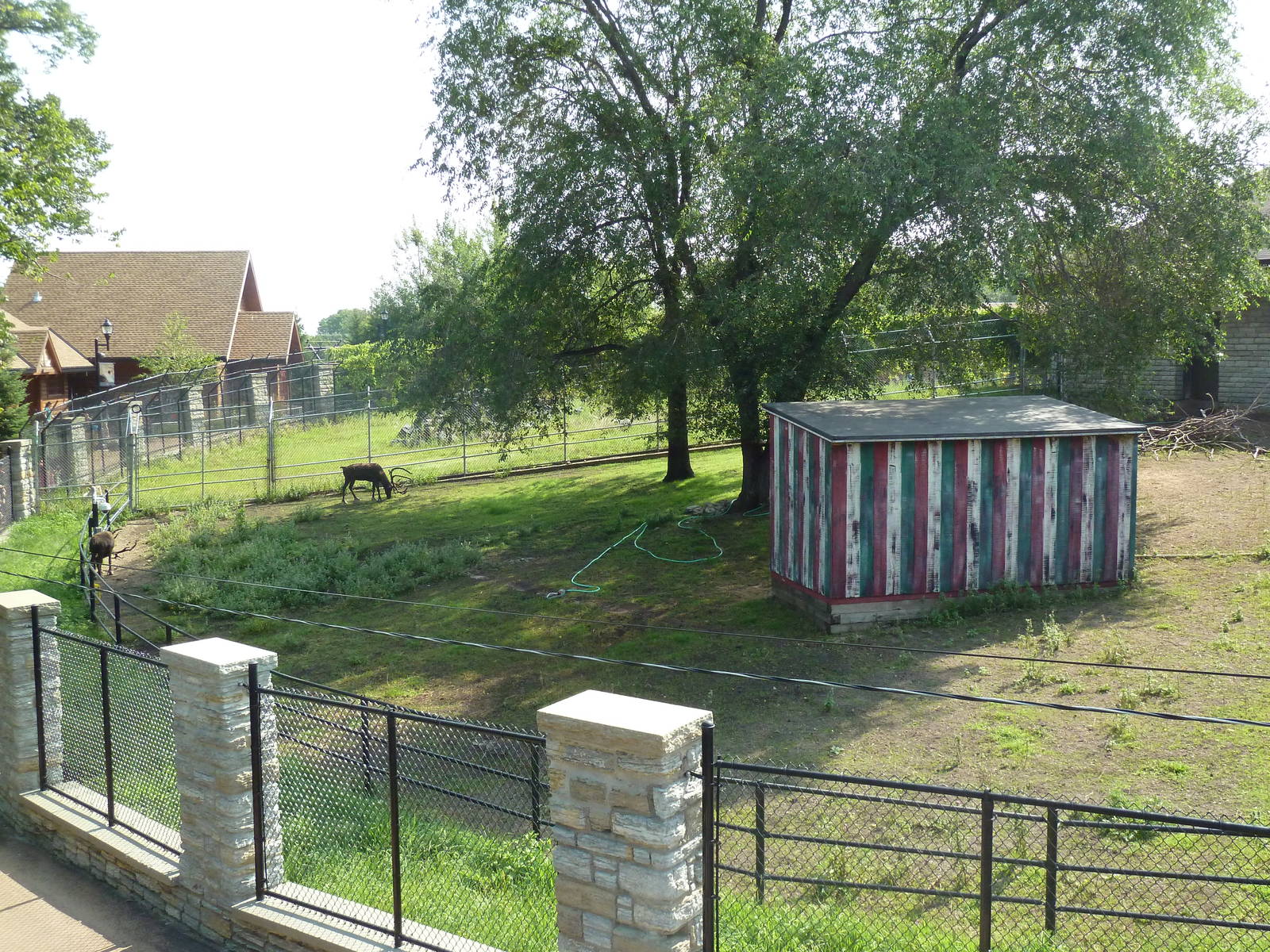Reindeer Exhibit