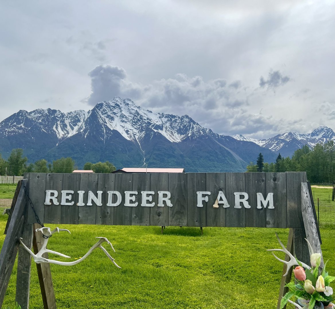 Reindeer Farm and Pioneer Peak