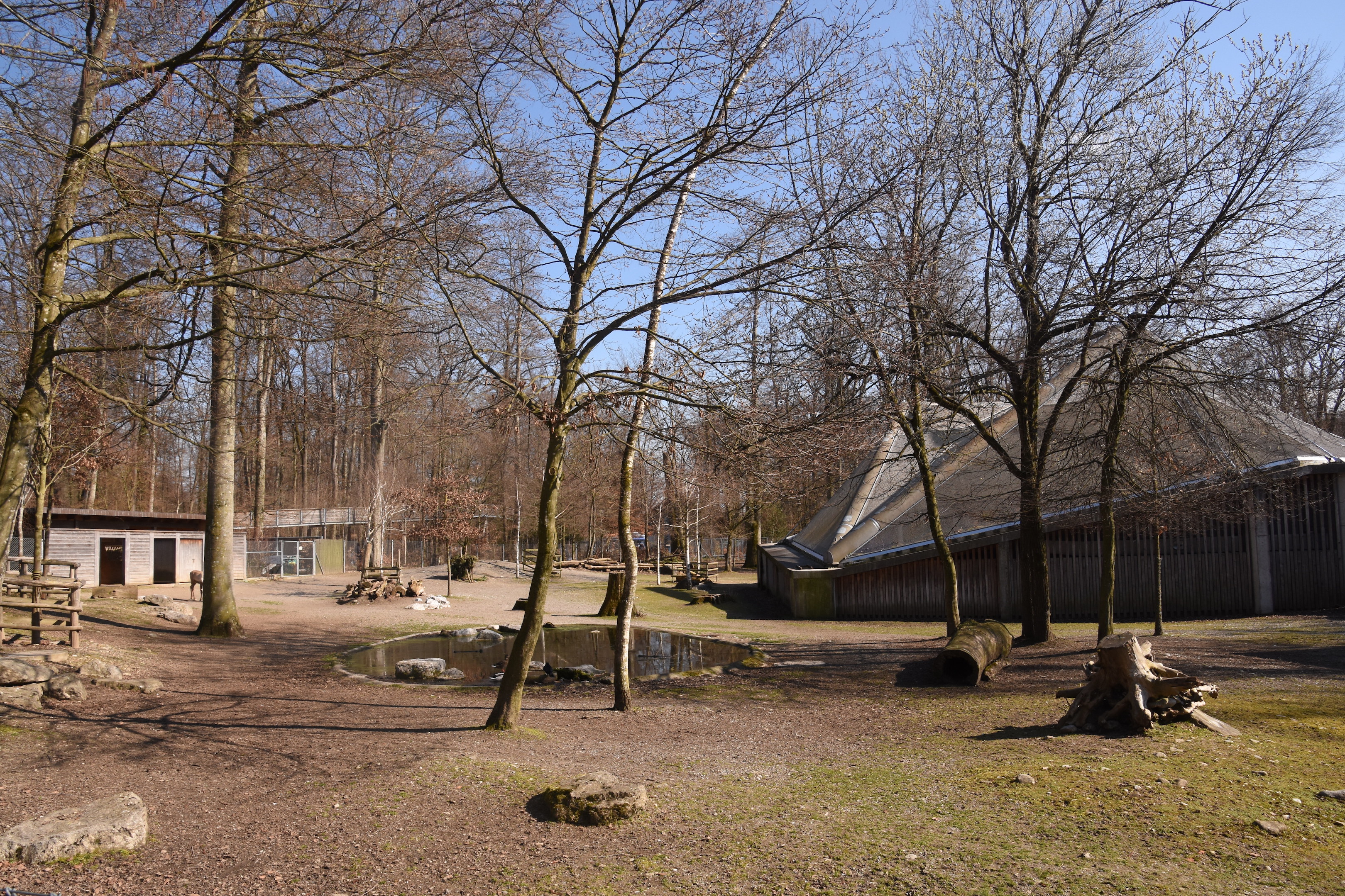 Reindeer + Hare enclosure