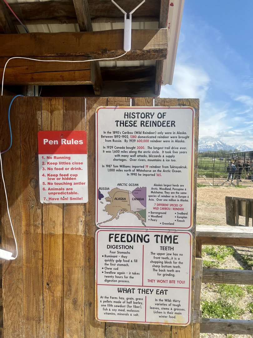 Reindeer Information Sign