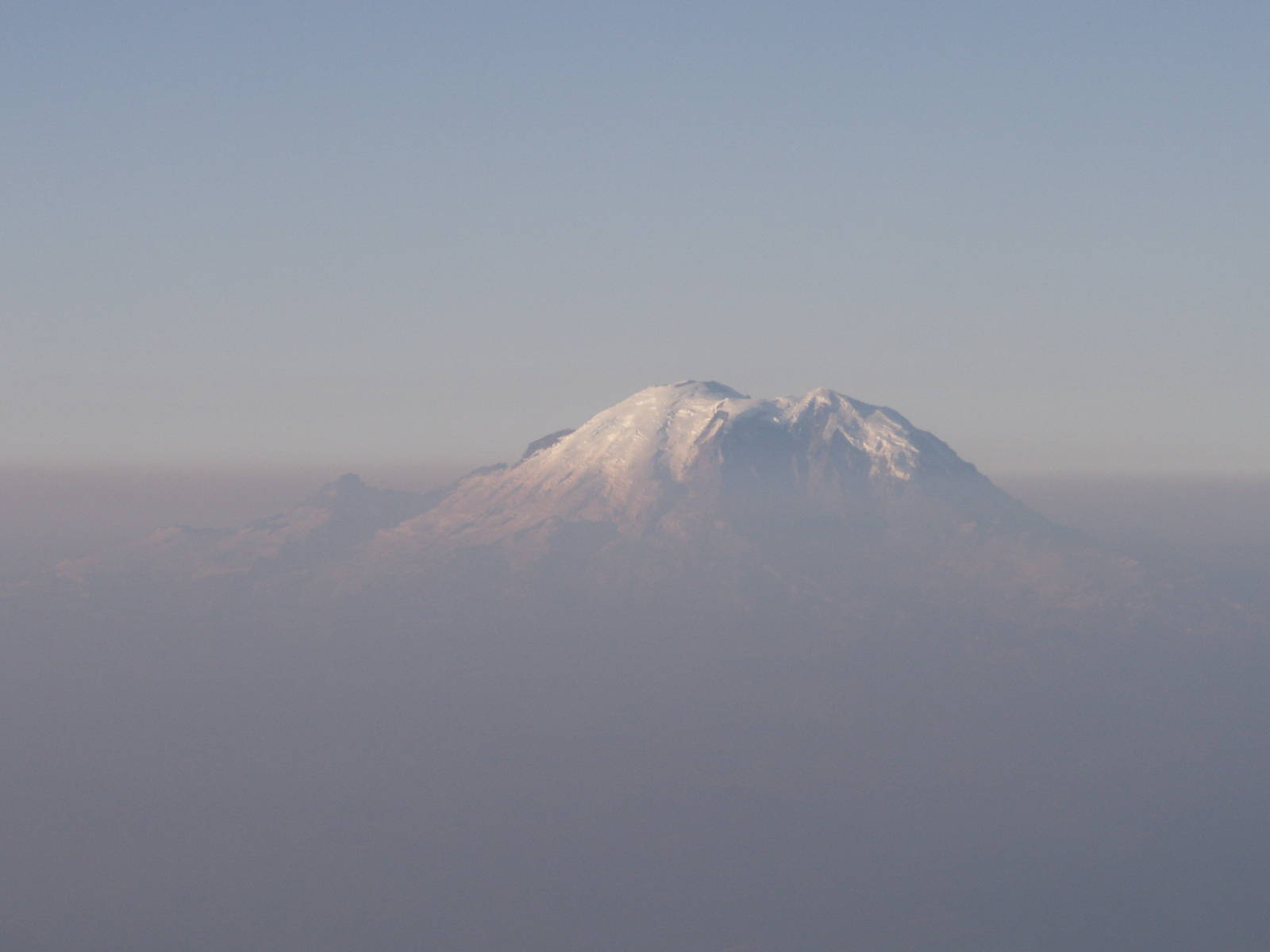 reindeer mountain from the zoo