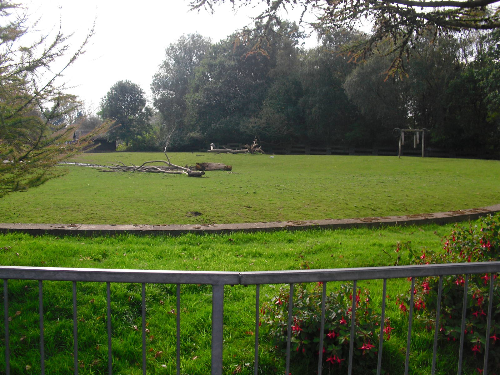 Reindeer Paddock - 01/10/2011