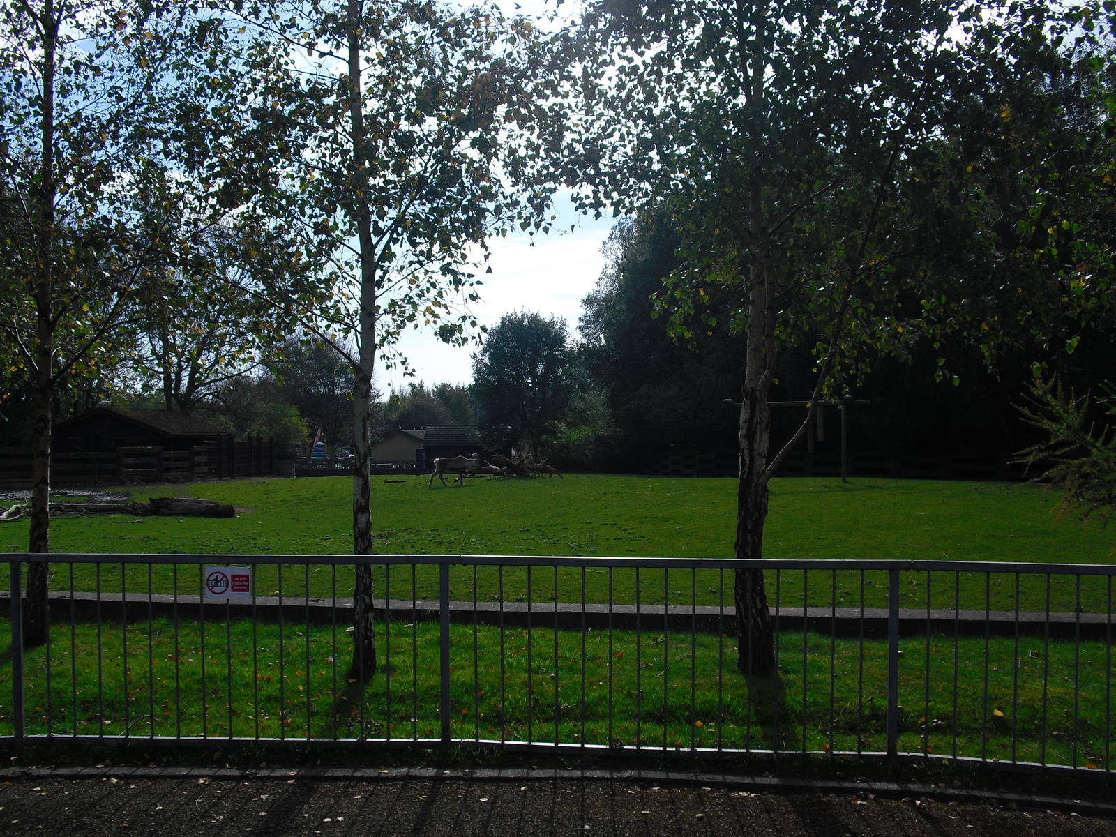 Reindeer Paddock - 01/10/2011