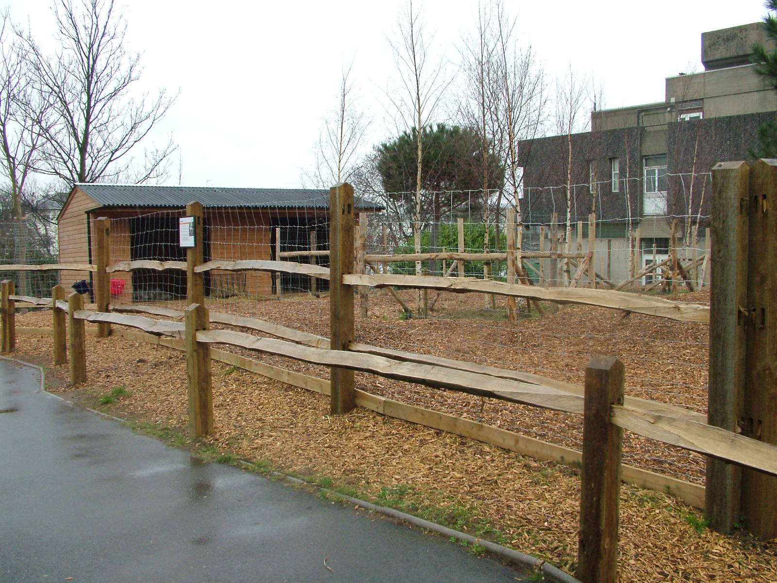 Reindeer Paddock at London, 17/03/12